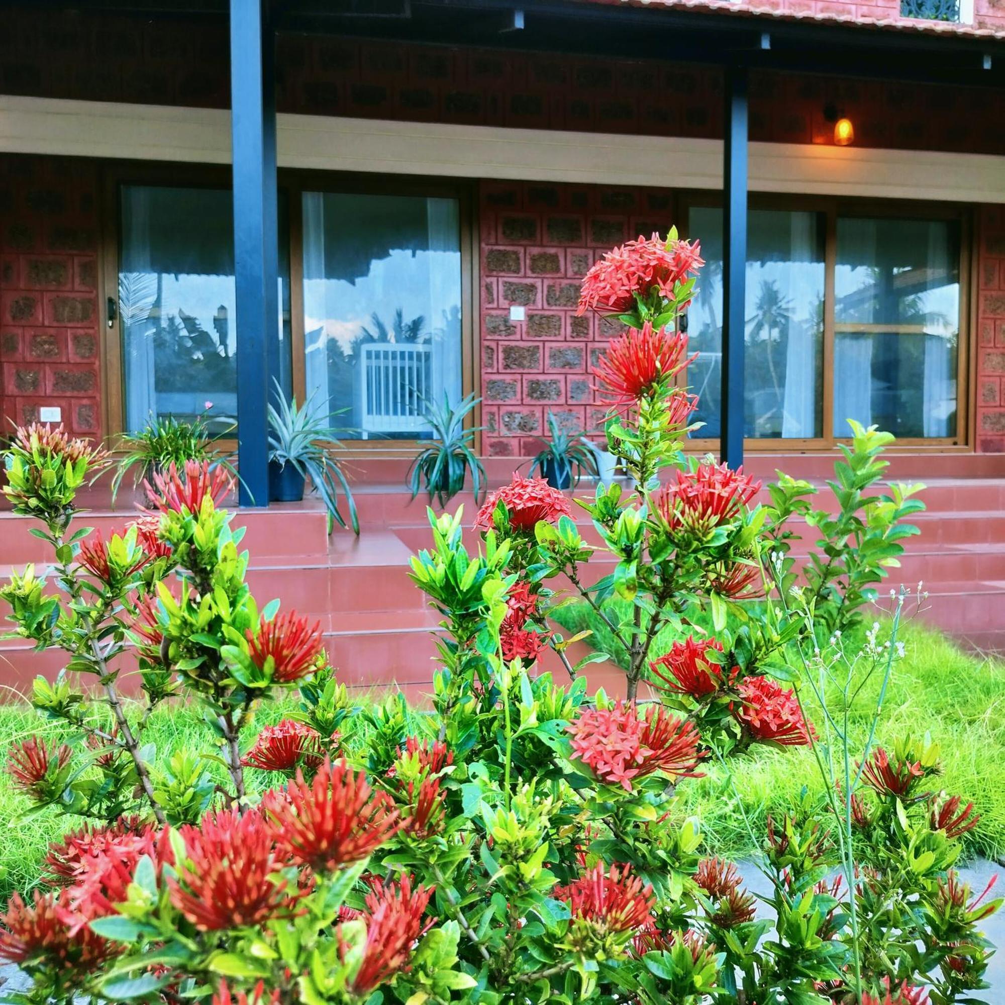 The Ixora - A Boutique Homestay Varkala Exterior photo